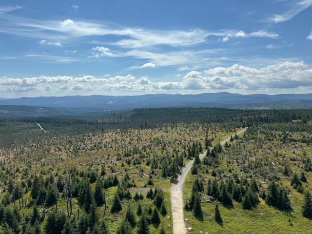 Bavorsk cesta