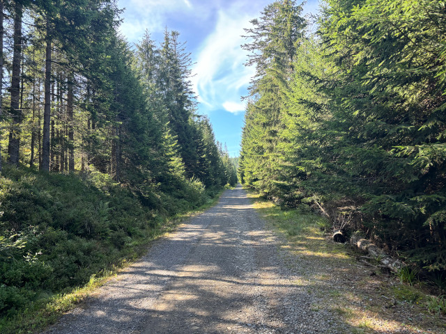Cesta Li dra
