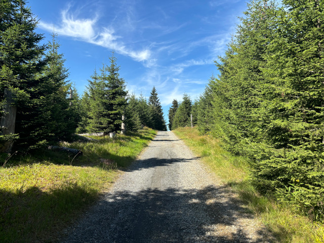Cesta Li dra