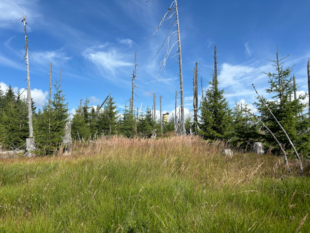 Polednk (1315 m)