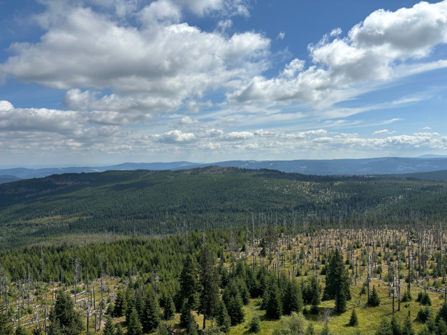 Nov Studnice (1239 m)