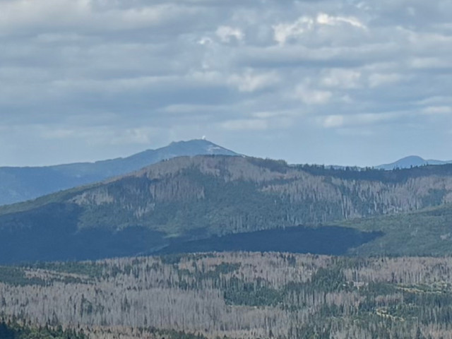 Groer Arber (1456 m)