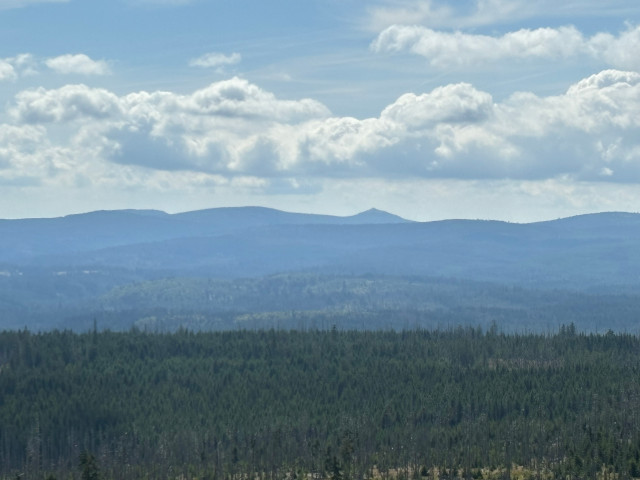 Lusen (1373 m)