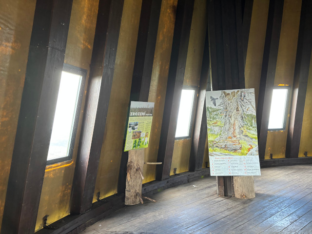 Expozice Historie lesa na Polednku