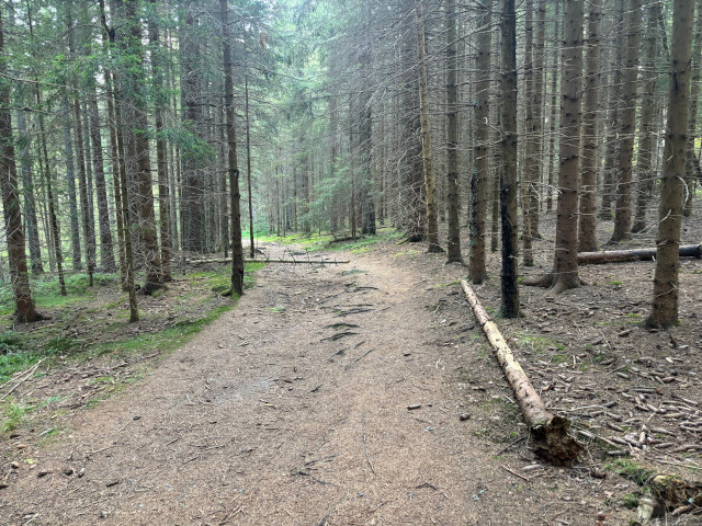 Cesta k Vyde