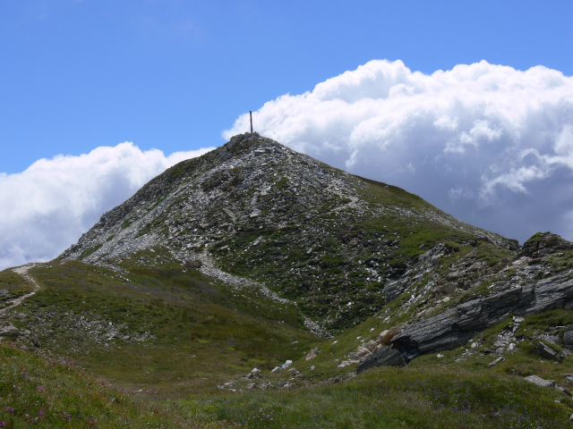 Speiereck (2411m)