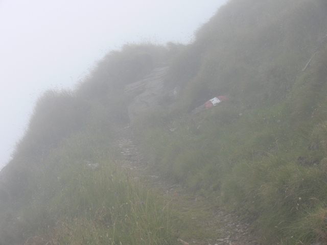 Stezka na vrchol Seekarspitze