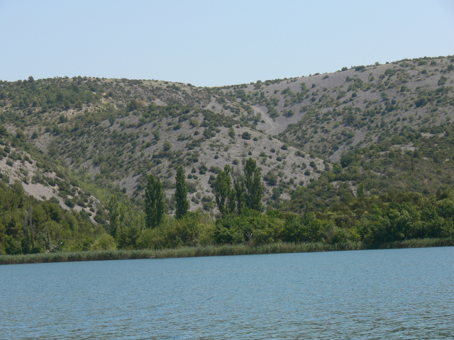 Ztoka Didovina
