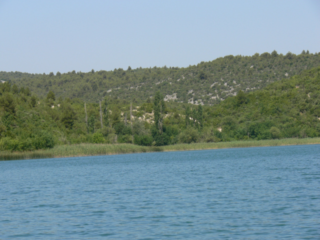 Ztoka Mala Luka