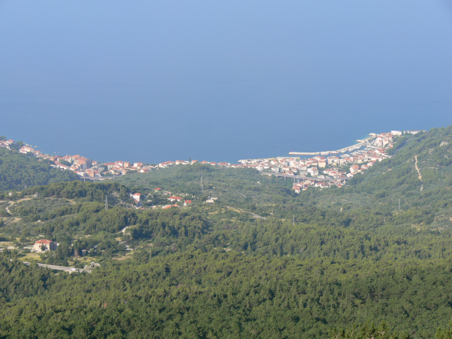 Podgora