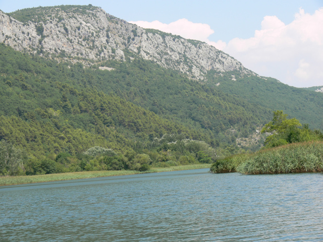 Cetina pod svahem vrcholu Biloevo