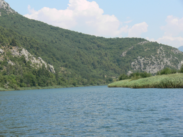 Cetina pod svahem vrcholu Biloevox