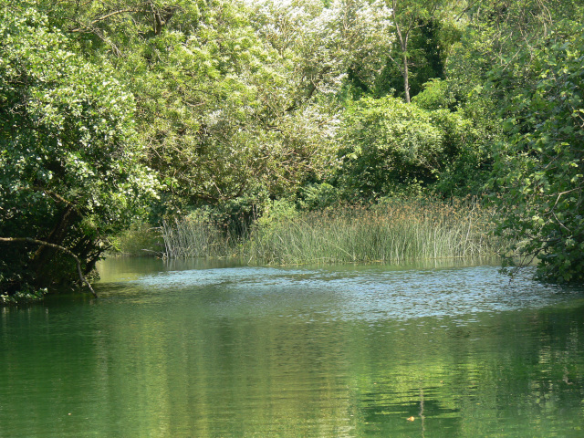 eka Cetina