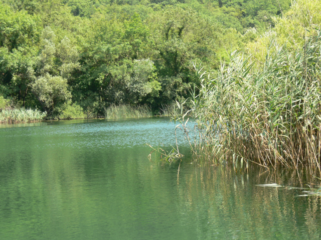 eka Cetina