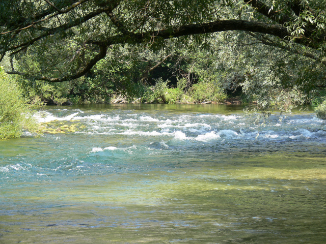 eka Cetina