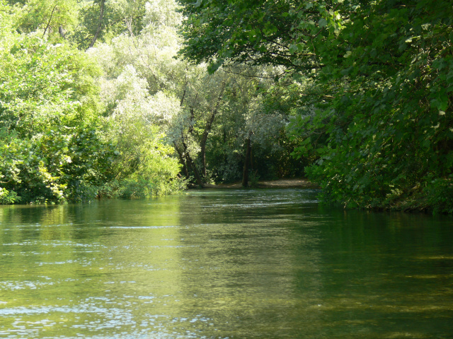 eka Cetina