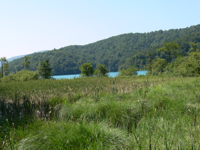 Proansko Jezero