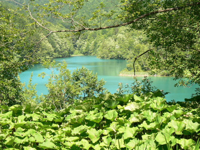 Jezero Ciginovac
