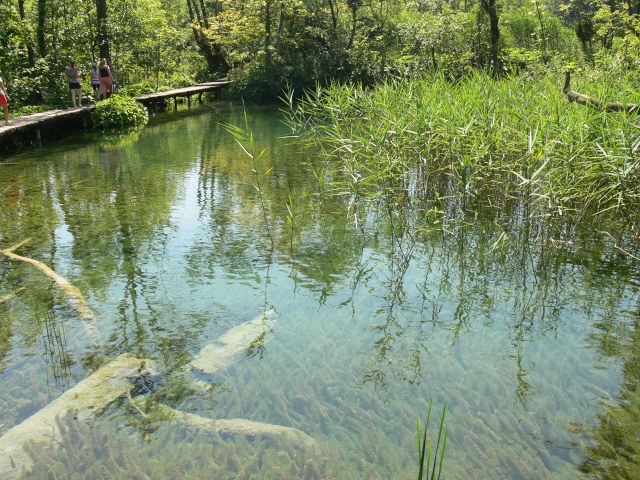 Kmeny a vtve ve Veliko jezero