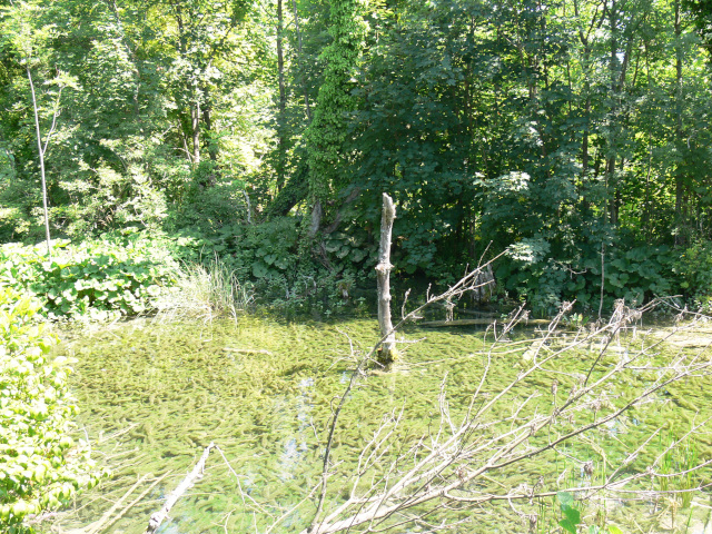 Mol mezi Veliko jezero a Jezero Vir