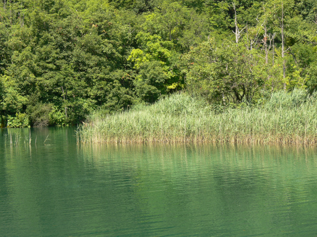 Veliko jezero