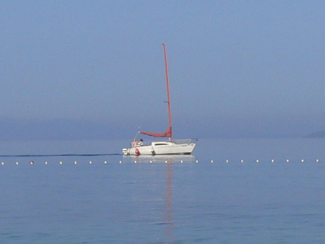 Plachetnice