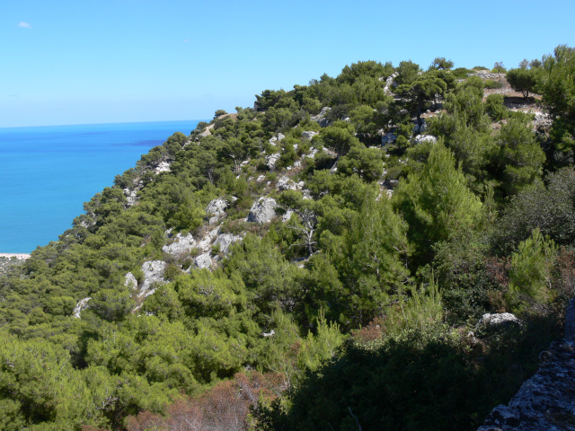 Monte Saraceno (260 m)