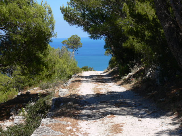 Cesta na Monte Saraceno