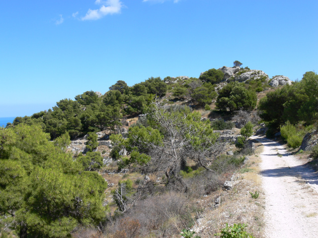 Cesta na Monte Saraceno