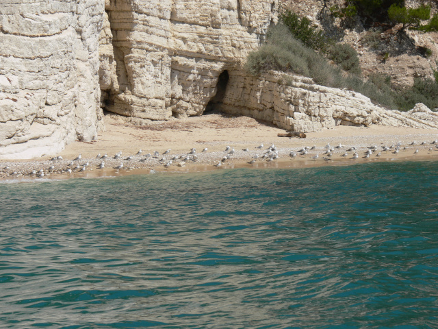 Baia dei Gabbiani