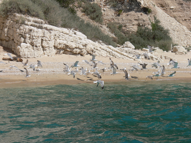 Baia dei Gabbiani