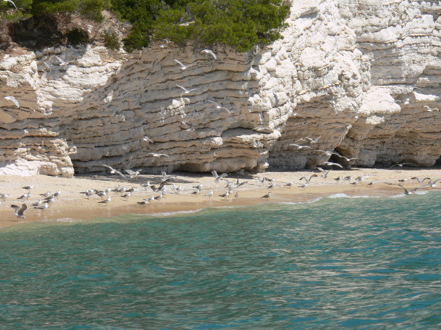 Baia dei Gabbiani