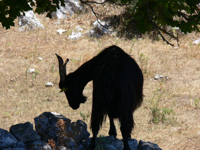 Monte Sacro