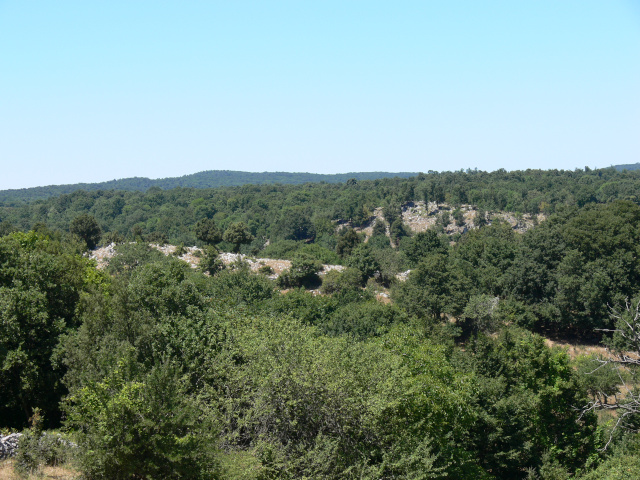 Prales Foresta Umbra