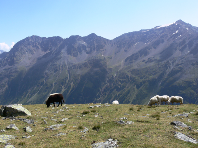 Nederkogel a Zirmkogel