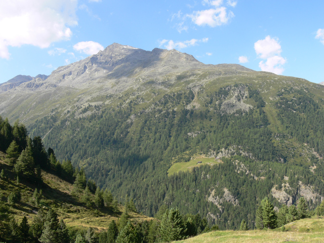 Nederkogel (3163 m)