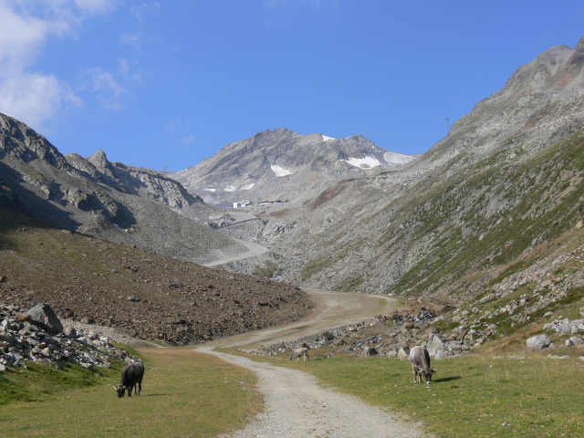 Karleskogel (3107 m)