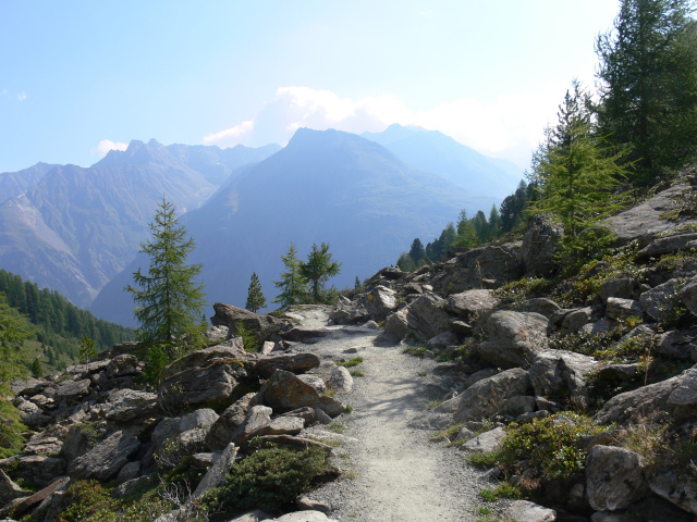 Hoher Sldenkogel (2975 m)