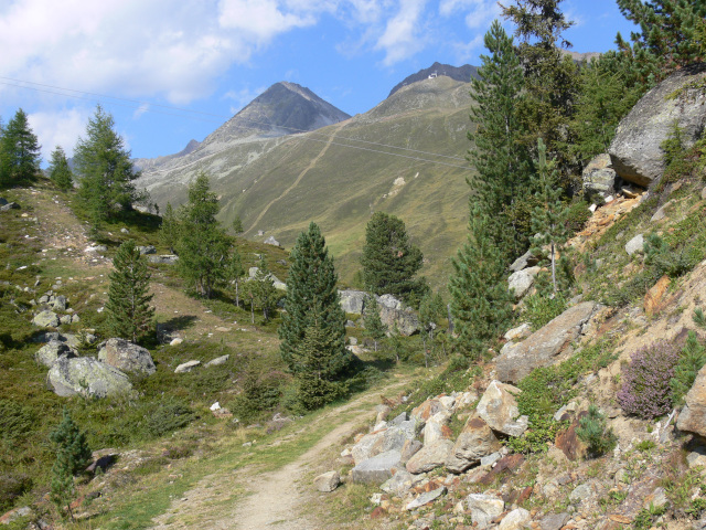 Schwarzkogel (3016 m)