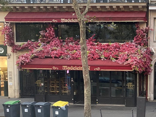 Restaurace Madeleine 7