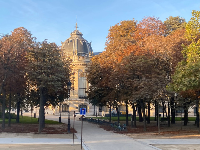 Petit Palais