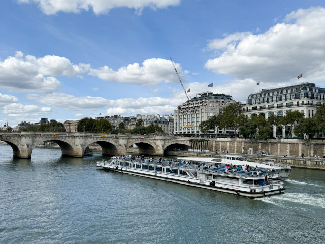 Seina a Pont Neuf
