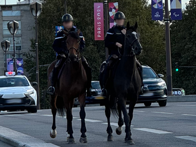 Jzdn policie