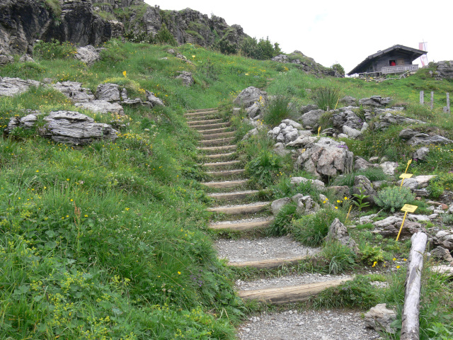 Chodnk v Alpenblumengarten