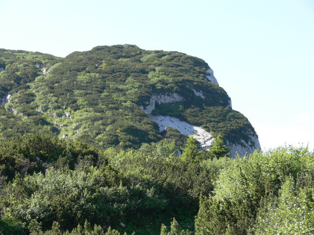 Vedlej vrchol pod Steinplattengipfel