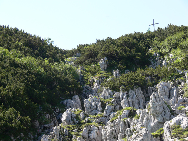 Steinplattengipfel (1848 m)