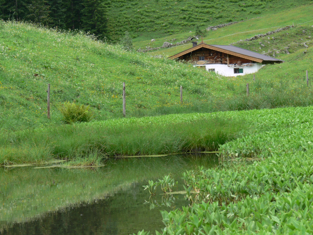 Grieenbodenalm