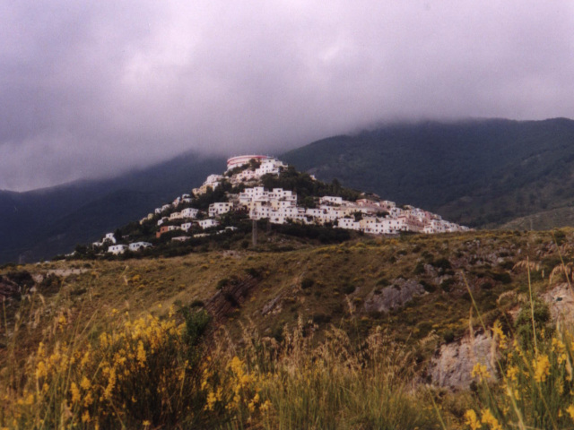 Villaggio Club Bridge