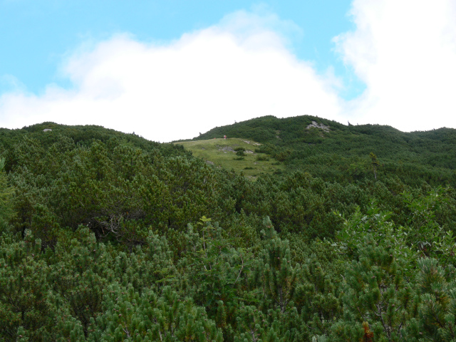 Horsk sedlo Grubach (2153 m)