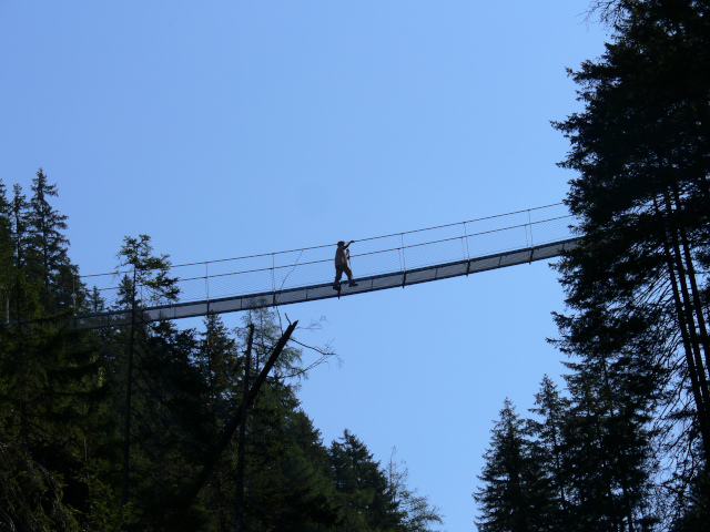 Visut most Seilhngebrcke